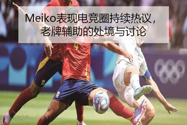 Meiko表现电竞圈持续热议，老牌辅助的处境与讨论